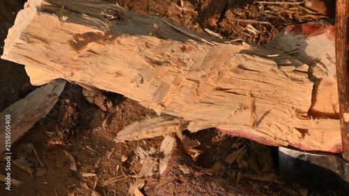 A person using a traditional hand axe to hew a rough wooden log resting. Traditional manual wood-chopping axe with a metal head and wooden handle. Its Commonly used in rural and village settings.