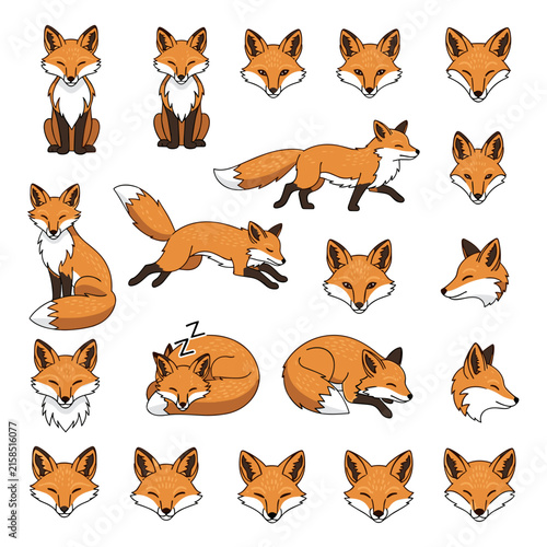 Collection of playful fox characters in different activities