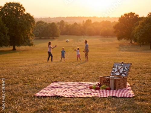 Family Picnic in the Park During Golden Hour Outdoor Lifestyle Scene