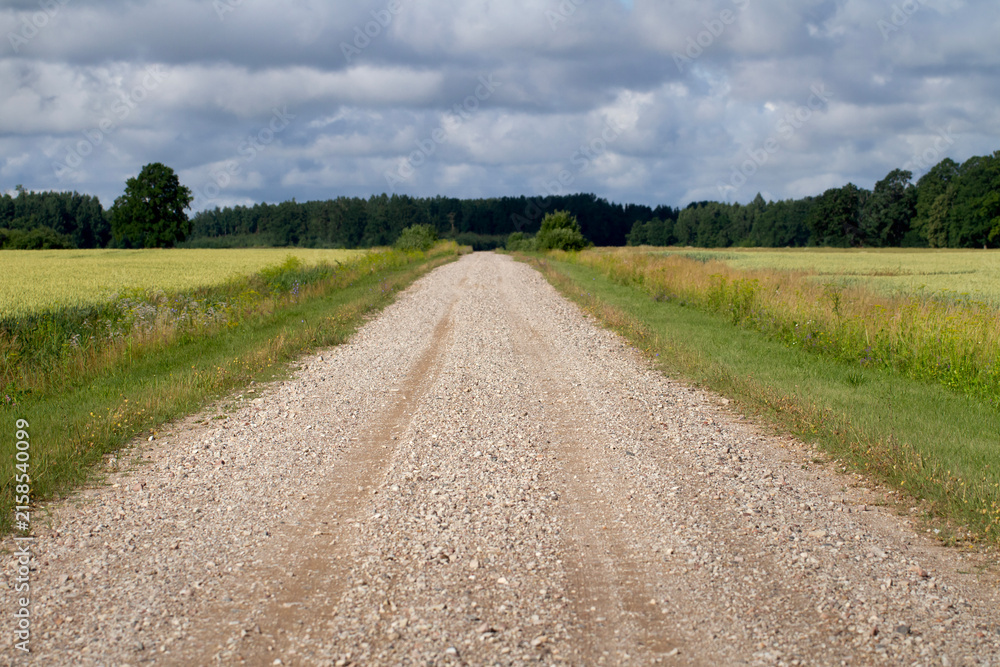 Fototapeta premium Rural Dirt Road Under Cloudy Summer Sky.