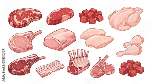 Fresh Raw Meat Cuts Set Isolated on White Background for Culinary Design and Butcher Shop Menus