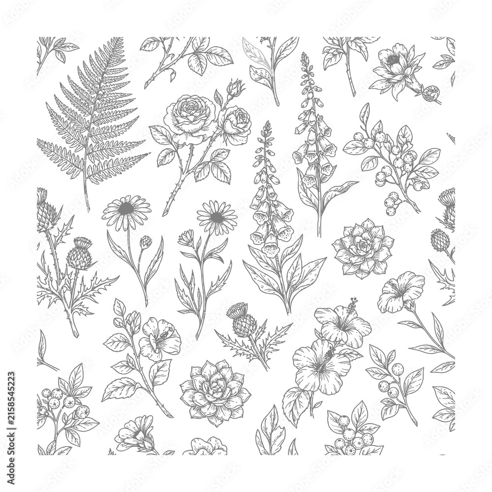 Fototapeta premium Vintage botanical seamless pattern with wildflowers and ferns on white background