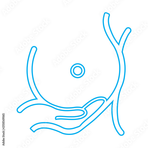 Breast Anatomy and Vascular Circulation Outline Icon Illustration