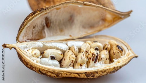 Open Baobab Fruit Pod Revealing Creamy Seeds Inside.