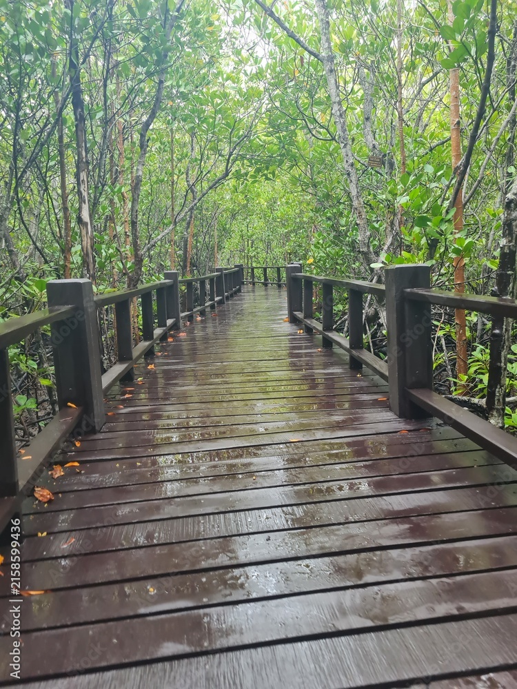 Fototapeta premium wooden bridge in the forest