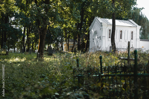 Фотография A white building stands amidst tall trees in an overgrown cemetery