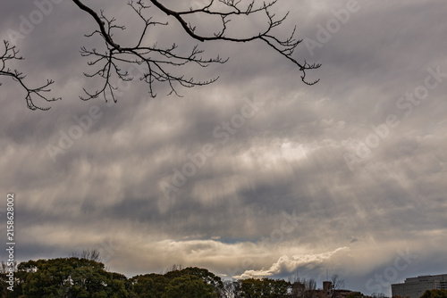 Bild auf Leinwand Dramatic crepuscular rays breaking through clouds over tree branches at Kiyosumi