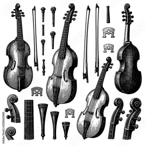 Vintage viola da gamba parts illustration set