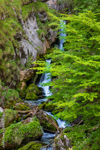 Wasserfall im Hartelsgraben, Nationalpark Gesäuse, Steiermark