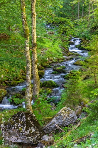 Wasserfall im Hartelsgraben, Nationalpark Gesäuse, Steiermark
