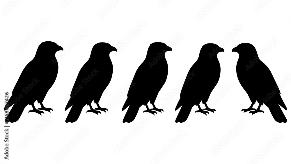 Fototapeta premium Set of Five Black Silhouette Birds Standing in a Row Minimalist Vector Illustration for Design Projects and Branding
