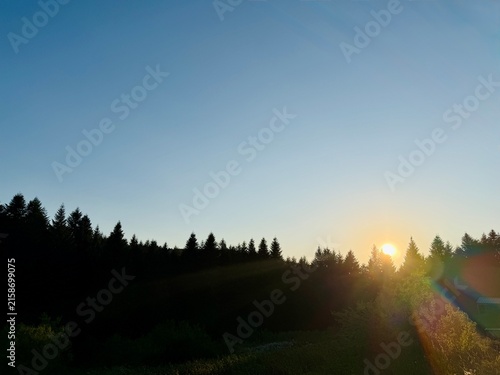 Sun setting over pine forest trees with sun flare in clear sky
