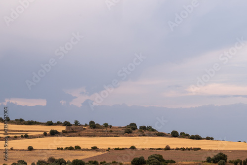 Golden Wheat Fields Under Stormy Sky with Ruined Farmhouse