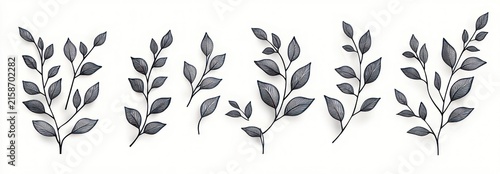 six minimalist hand-drawn botanical sprigs with delicate leaves and thin stems on a white background, calm and elegant