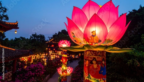 Illuminated Lotus Lanterns at Night Festival Illustration
