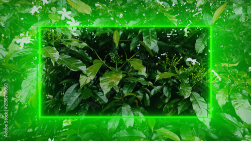 Fresh Green Garden Bush with White Flowers and Glowing Neon Frame Background