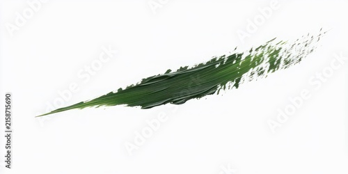 single textured dark green paint stroke on white background evoking calm organic movement