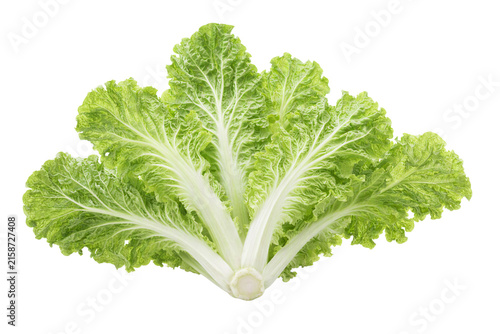 Foto Cabbage isolated on white transparent background, fresh green napa cabbage sprea