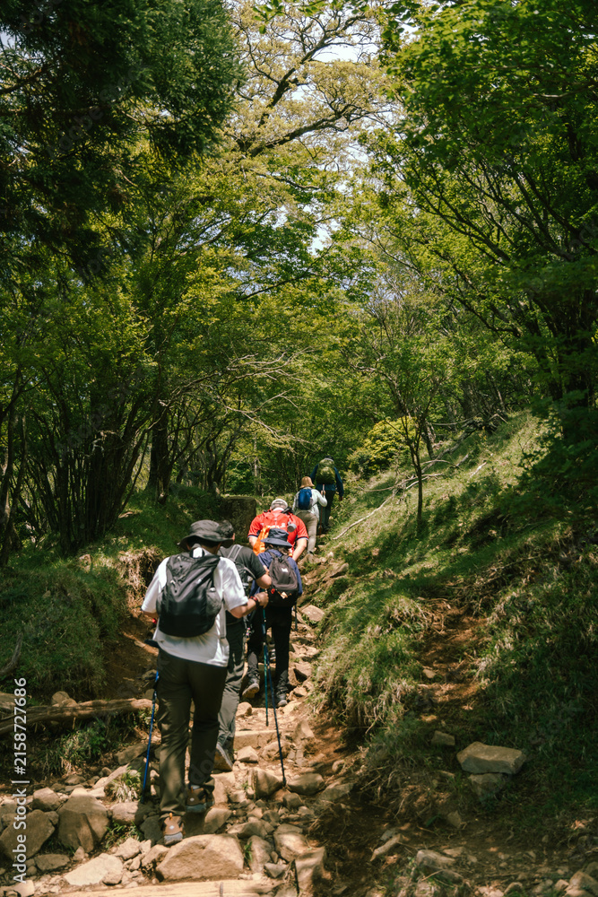 Fototapeta premium hiking mountain ooyama kanagawa Japan