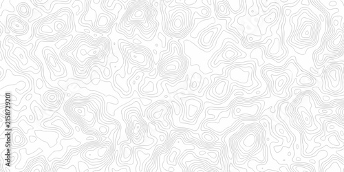 Fotografía Contour abstract map relief land outline