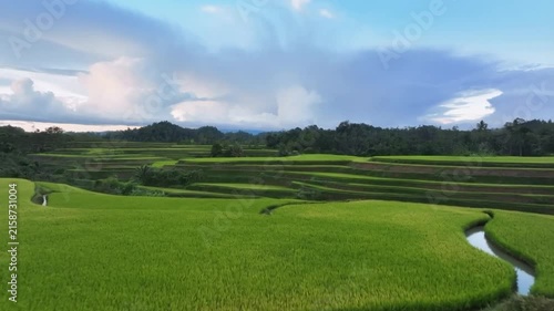 Lush green rice paddies and terraced fields with a winding stream, framed by forested hills under a dramatic sky.