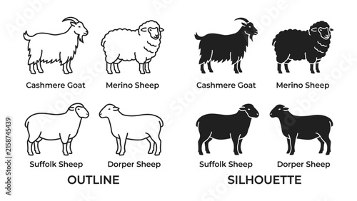 Foto Farm Animals Collection: A set of outline and silhouette illustrations showcasing four distinct breeds of farm animals: cashmere goat, merino sheep, suffolk sheep, and dorper sheep