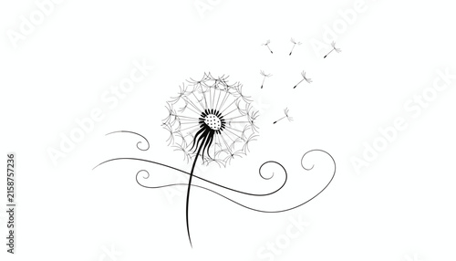 Artistic black and white line drawing of a dandelion flower with seeds blowing away in the wind with elegant curves.