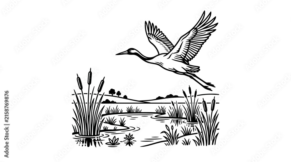 Fototapeta premium Vintage woodcut crane flying over marsh landscape, retro linocut heron bird in wetland, black and white nature vector illustration