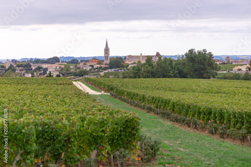 Bordeaux Saint Emilion France vineyard foreground