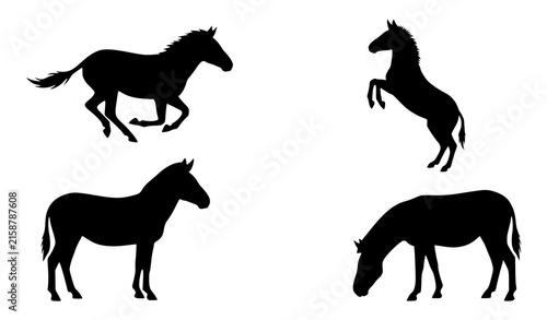 Wild Horse Przewalski Silhouette Icon Set with Running Rearing and Grazing Equine Symbols for Ranch Conservation Designs