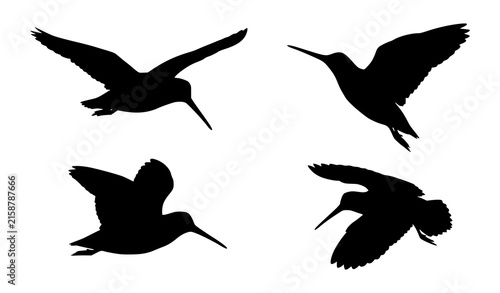 Snipe and Woodcock Bird Silhouette Icon Set with Flying Shorebird Graphic Elements for Nature Wildlife Hunting Designs