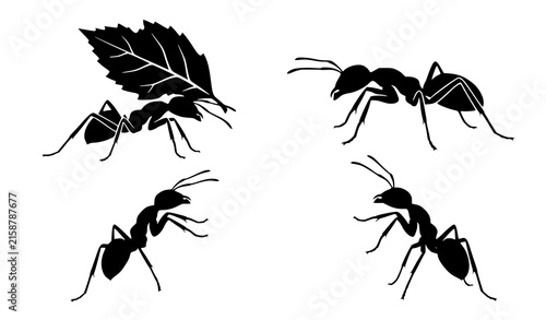 Ant Silhouette Icon Set with Leafcutter Working Graphic Elements for Pest Control and Nature Educational Designs