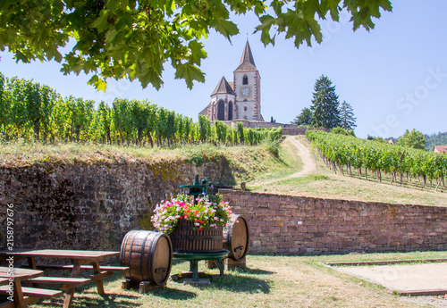Saint-Jacques-le-Majeur Church in Hunawihr surrounded by vineyards and colorful flowers in summer, Alsace, France