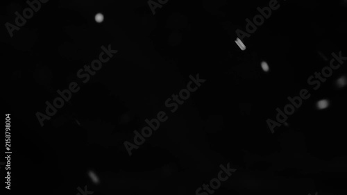White snow isolated on black background, natural and real, winter nature, using for overlay effect