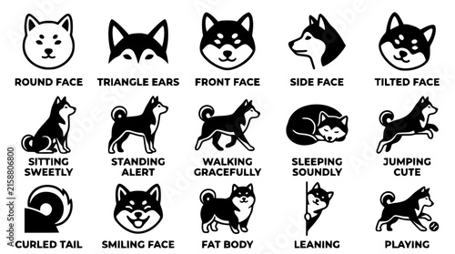 Minimalist vector illustration set showing diverse shiba inu dog poses