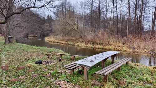 фотографія On the grassy bank of the river, strewn with fallen leaves, there stands a wooden table and benches