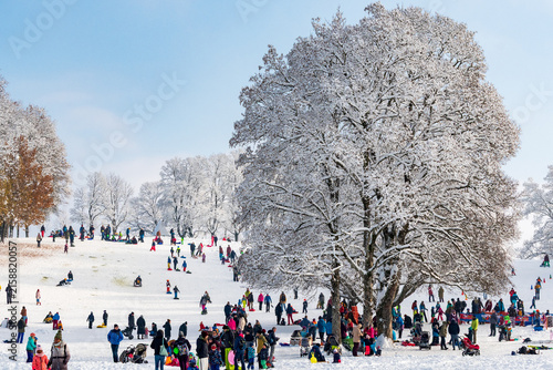 Canvastavla Families enjoy sledging on Gurten’s snowy hillside beneath frosted trees in Bern, Switzerland
