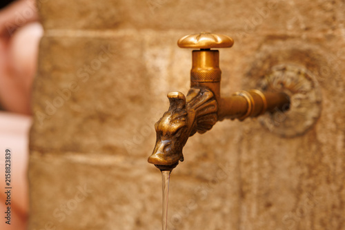 Bronze Duck Head Public Water Tap with Blurred Stone Background, Corniglia