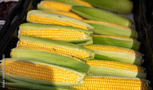 Foto Ripe ears of corn in a crate at a market stall
