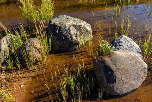 Konstfotografi Large weathered erratic boulders resting in shallow pond water surrounded by vib