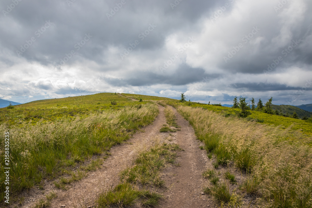 Fototapeta premium Moody landscape of a dirt path winding through tall grass toward distant mountains under gray clouds