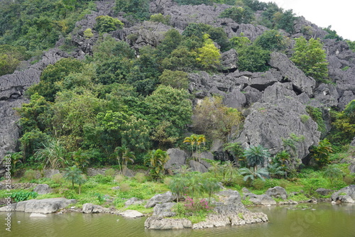A view of a mountain with tropical trees and plants. Vietnam.