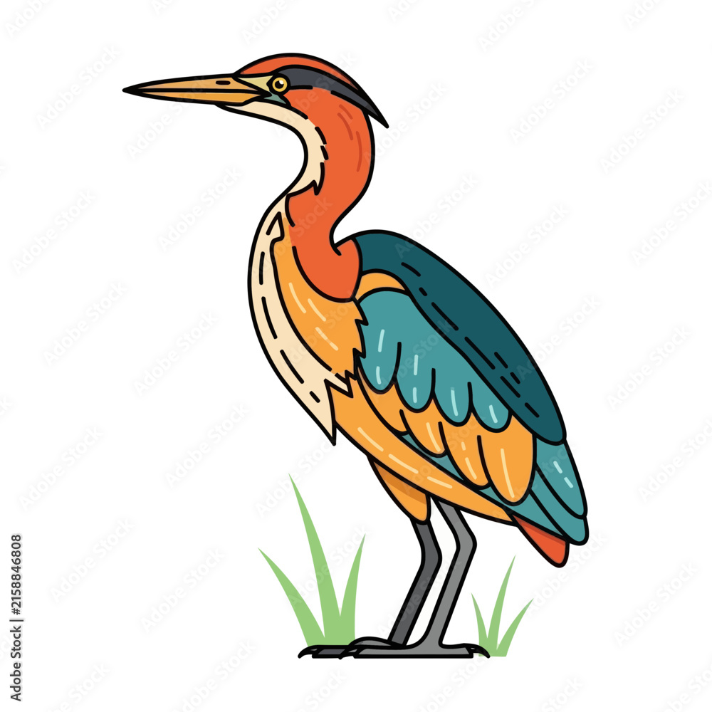 Naklejka premium Colorful Bittern Bird Illustration Standing in Grass