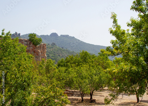 Green Mountain Valley in Sardinia