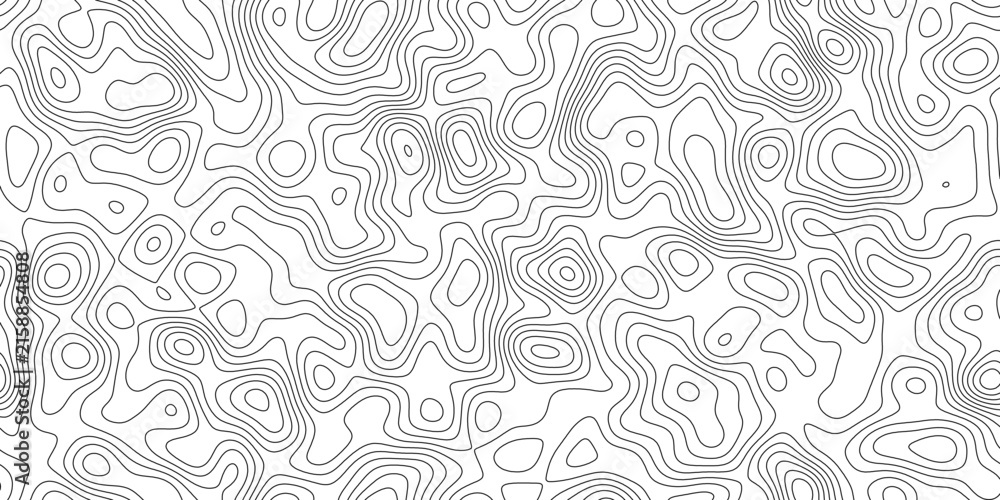 Naklejka premium Modern abstract elevation contour line background, precise cartographic lines with subtle depth, for presentation, cover and web banner.