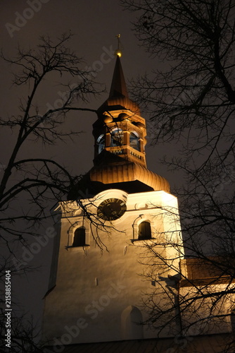 Low-angle view of the illuminated Tallinn St Mary's Cathedral clock tower and spire framed by bare tree branches at night.