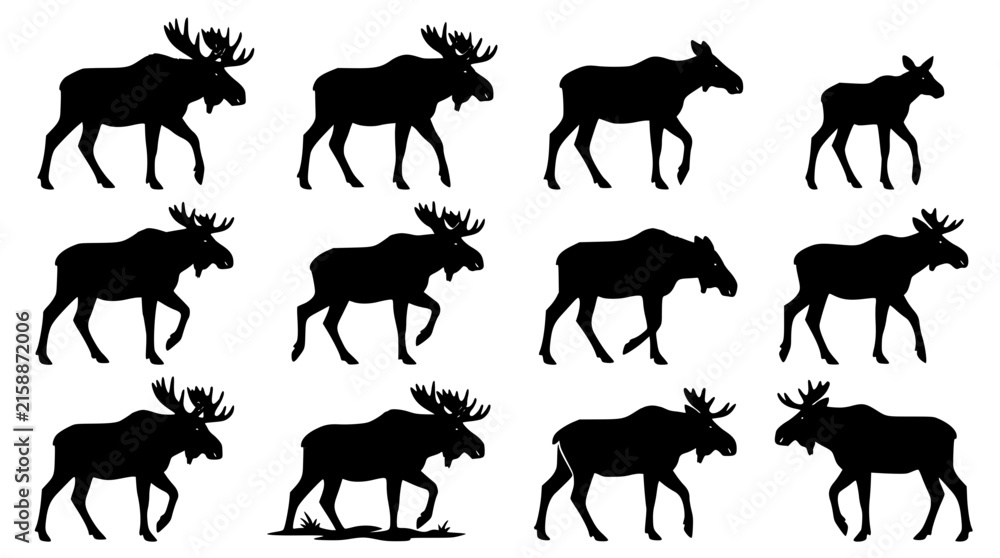 Fototapeta premium Moose Silhouettes Set, Various Poses and Stances, Vector Illustration. Wildlife Animal Icons, Design Elements