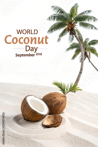 World coconut day celebration background with palm tree and sand september tropical celebration background