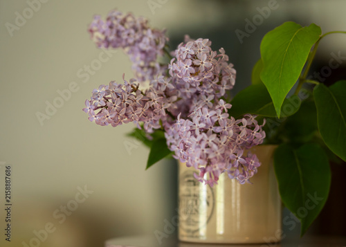 Obraz na plátne A few fragrant lilac branches in a vintage vase
