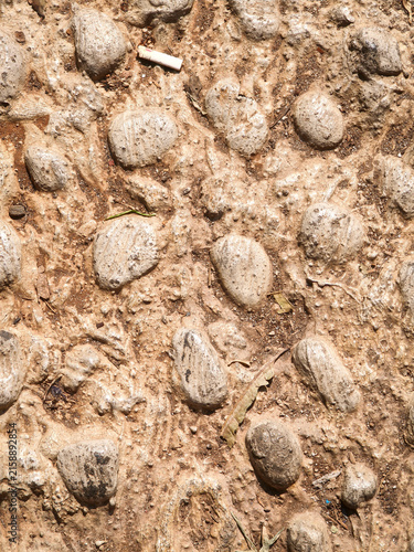 Natural Textured Pebble Reflexology Stone Footpath Surface Background Detail. Reflexology stones used for massaging the soles of the feet.